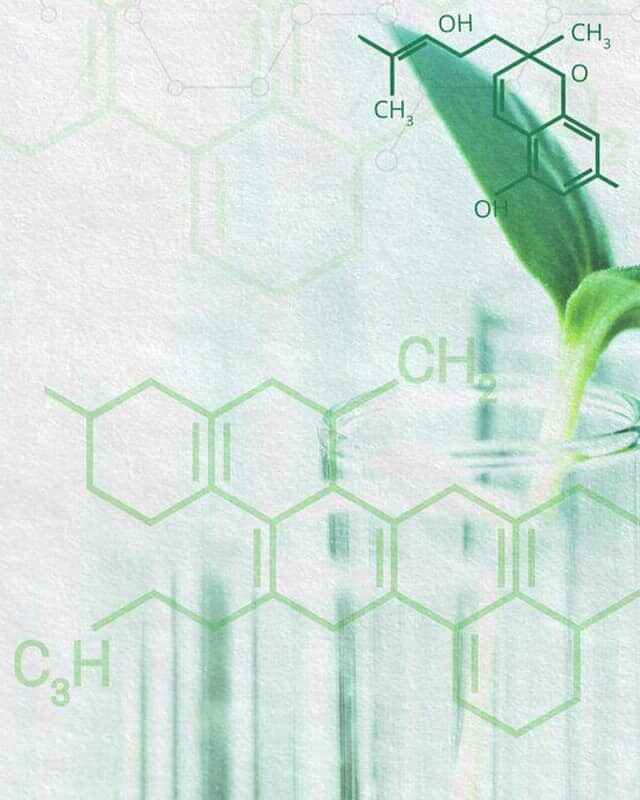 chemical formulas shown over a seedling in a beaker