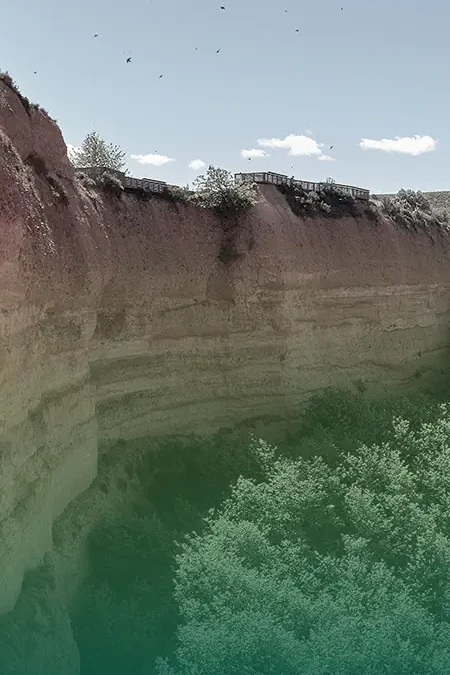 rock formations and trees