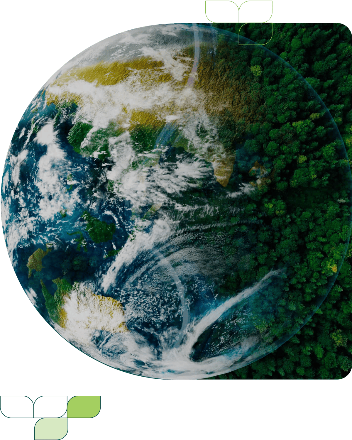 earth morphing into a forest