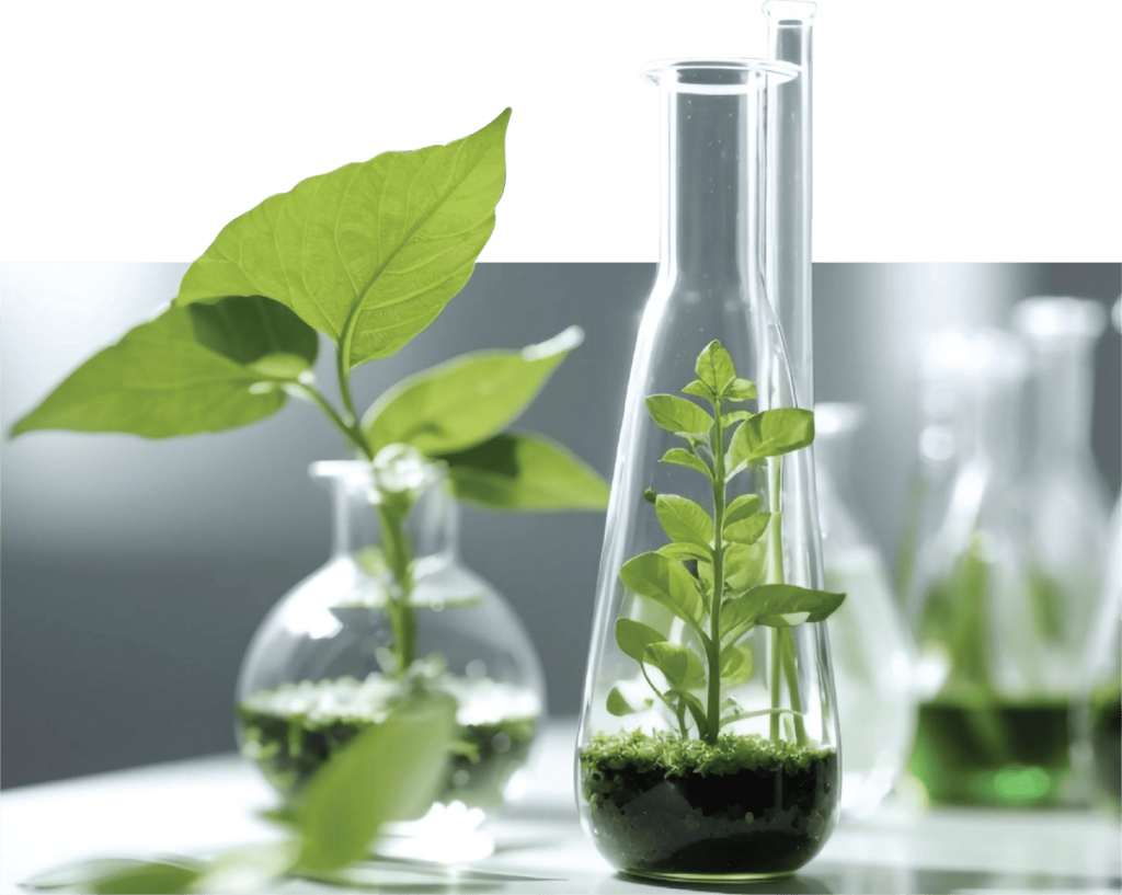 Sustainability - Integrity BioChem