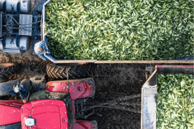 The Agriculture Industry Isn’t Just Facing Market Pressure, It’s Facing Structural Pressure.