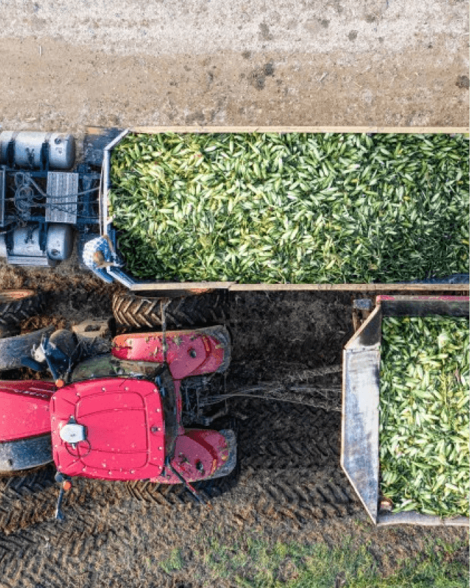The Agriculture Industry Isn’t Just Facing Market Pressure, It’s Facing Structural Pressure.
