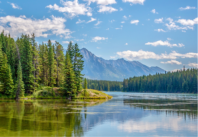 Beginning to Measure Sustainability in Chemistry Organizations
