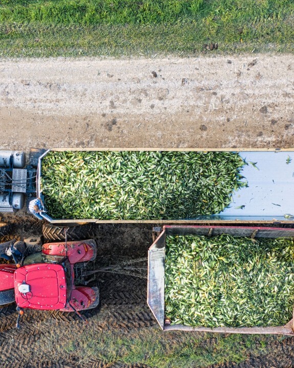The Agriculture Industry Isn’t Just Facing Market Pressure, It’s Facing Structural Pressure.