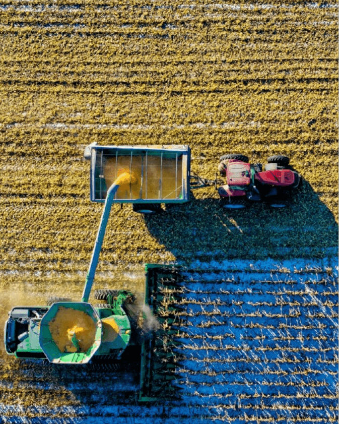 Closing the Loop: How Bio-Based Surfactants Return Value Back to Agriculture with Integrity BioChem