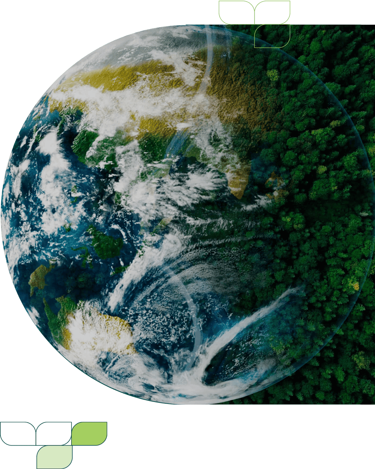 Plant earth morphing into a forest